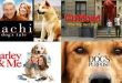 best dog movies